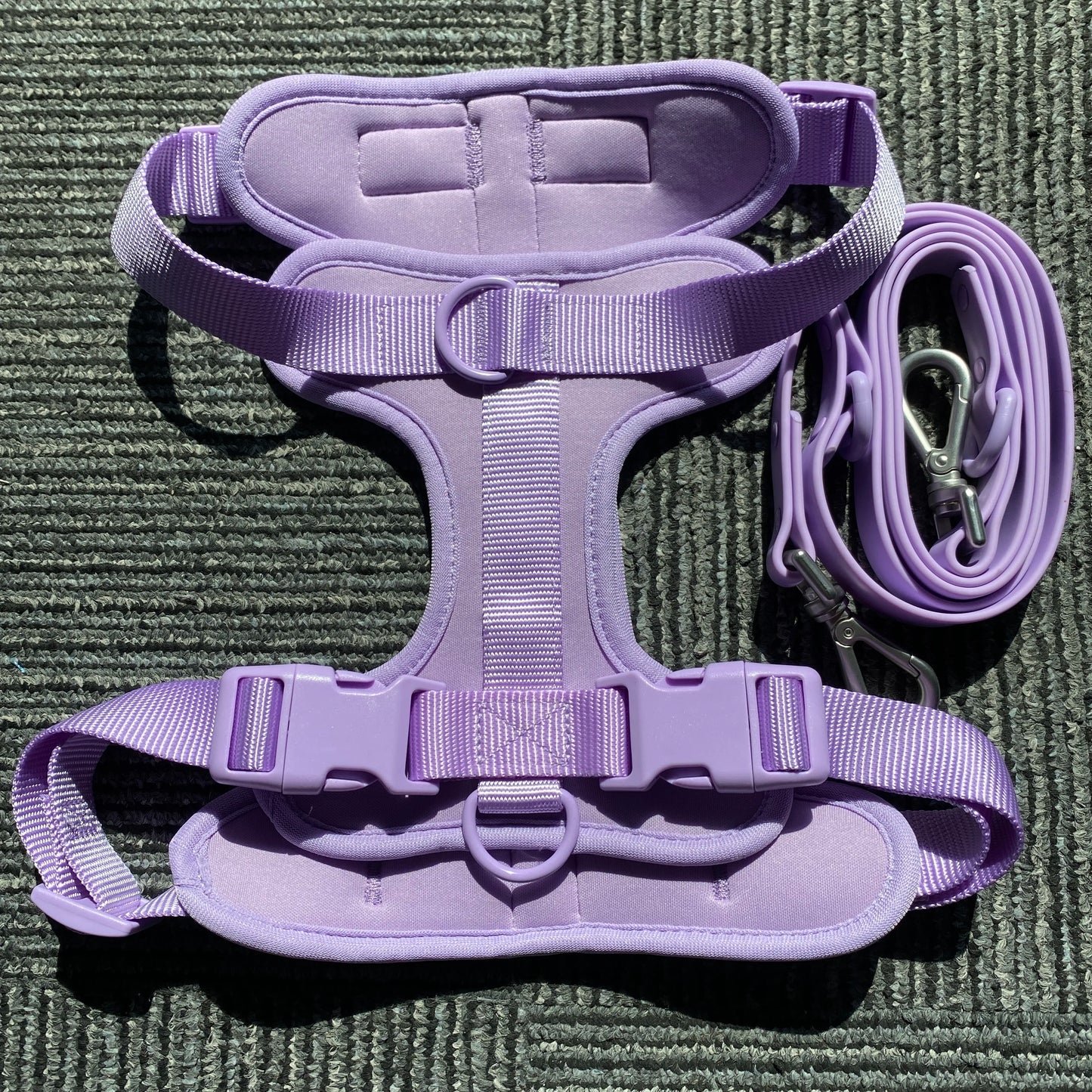 Dog Harness And Leash Set, Waterproof Easy To Clean Dog Leash Adjustable Dog Vest Harness With Dog Poop Bag Holder For Small, Me